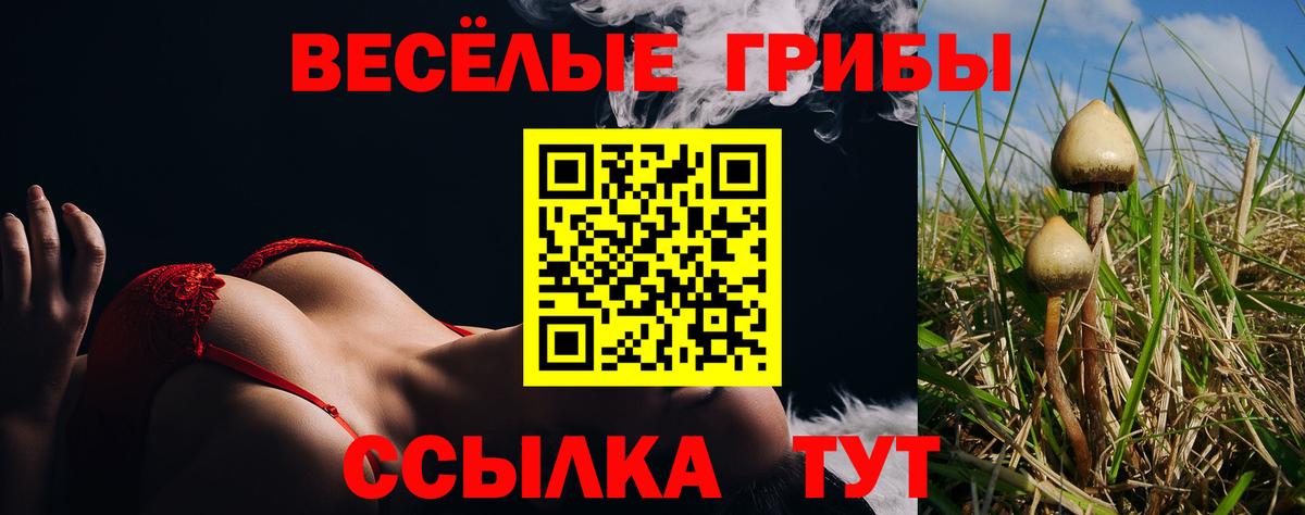 Псилоцибиновые грибы Magic Shrooms  Псилоцибиновые грибы мицелий  Вход с VPN  Железногорск 