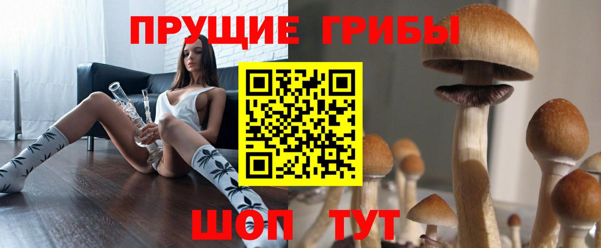 Псилоцибиновые грибы мицелий Железногорск
